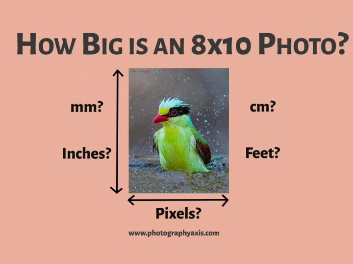 How Big is 8×10 Picture 2022