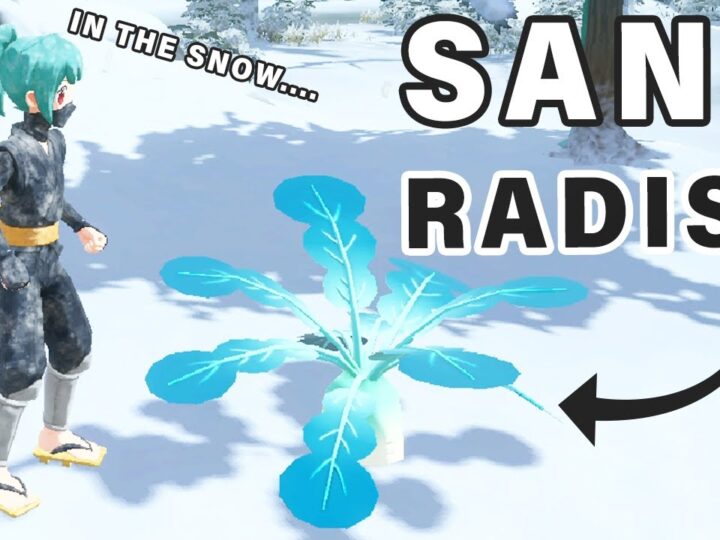 Sand Radish – Pokemon Legends: Arceus Wiki Guide