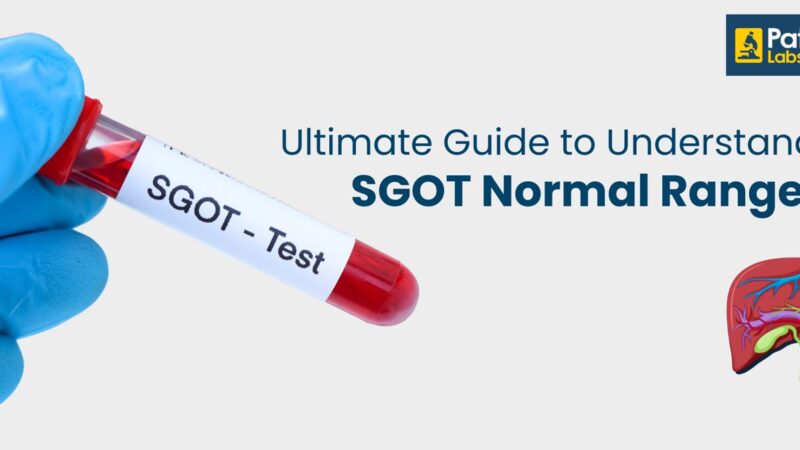 Breaking Down SGPT and Thyroid Health Tests in Gurgaon