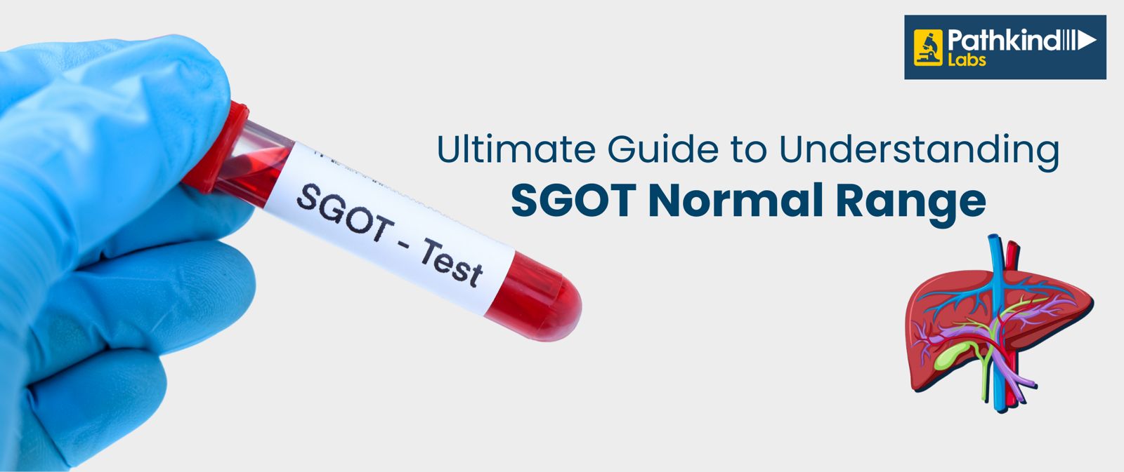 Breaking Down SGPT and Thyroid Health Tests in Gurgaon