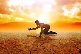 What to Do When Your Wellbeing Has Taken a Knock