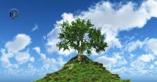 Understanding Hormita: The Modern Path to Holistic Vitality and Balance